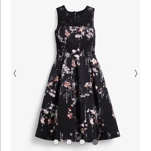 White House Black Market Floral Print Fit-And-Flare Dress Size 8
